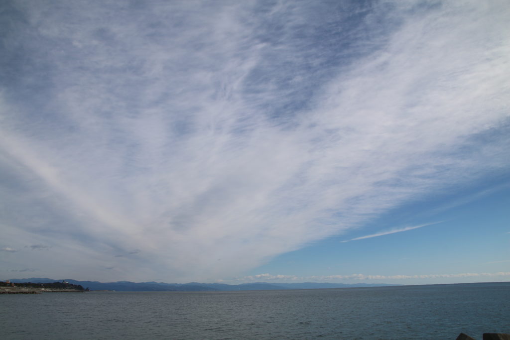 桂浜を花街道から望む（２０２３年１月）