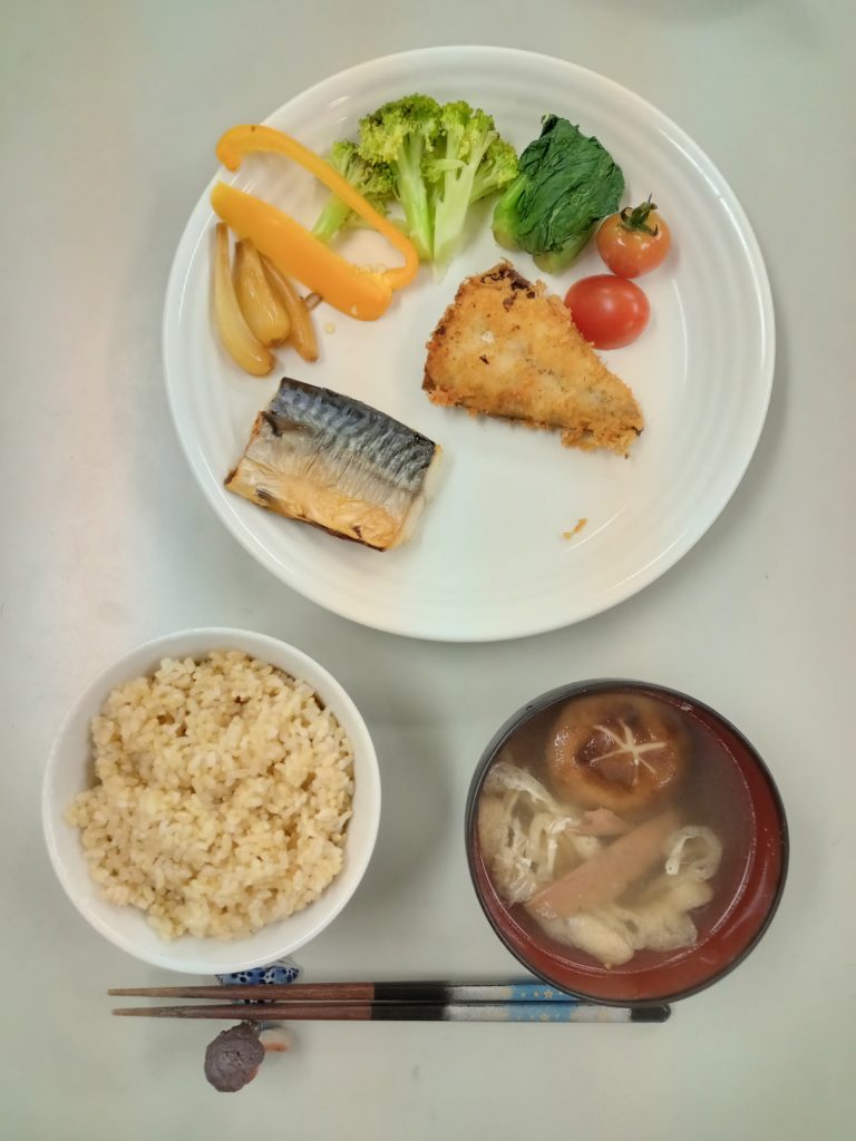 鯖カツ、鯖の塩焼き、サラダ、お味噌汁、ご飯