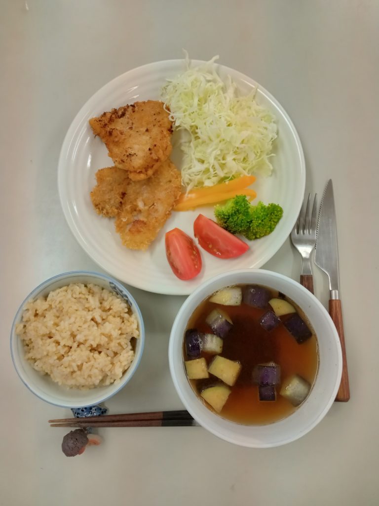 とんかつ、サラダ、ナスの素揚げのお汁、ご飯