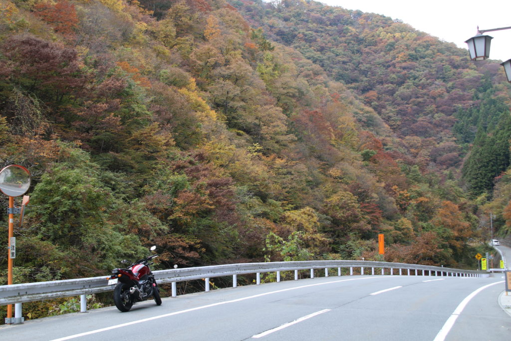 国道299号の風景