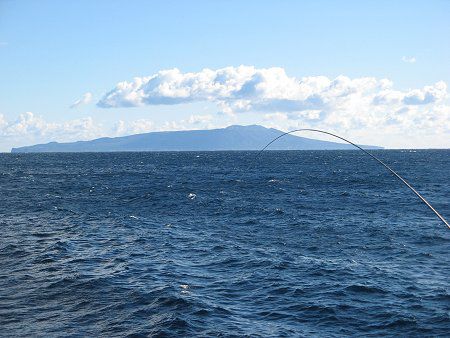 城ヶ崎海岸磯釣り 09年12月19日