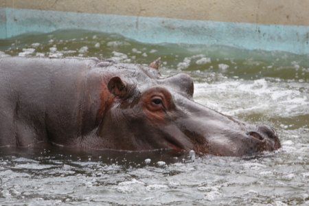 東武動物公園 11年4月10日