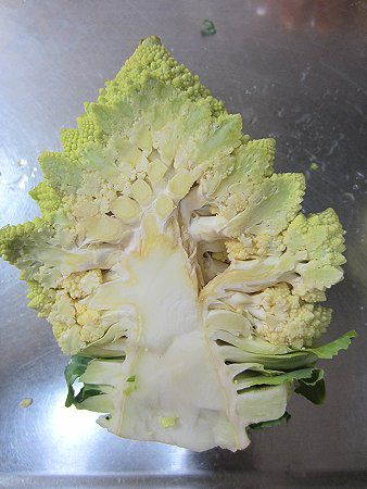 ロマネスコ Romanesco かぎけんweb