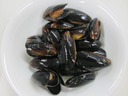 TLCKCiĊLj=[LiMoulejA`jACKCAMediterranean mussel