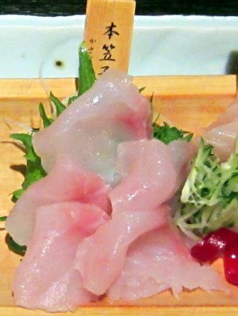 釣って嬉しい魚 カサゴ 笠子 かぎけんweb