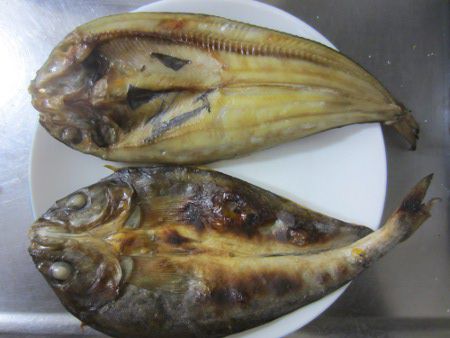 泳ぐホッケから干物のホッケまで ホッケ 魚 かぎけんweb