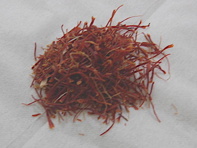 サフラン（Saffron、学名：Crocus sativus )