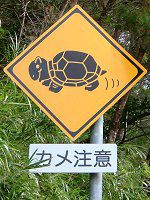 やんばる 珍しい標識 怖い標識 沖縄 かぎけんweb
